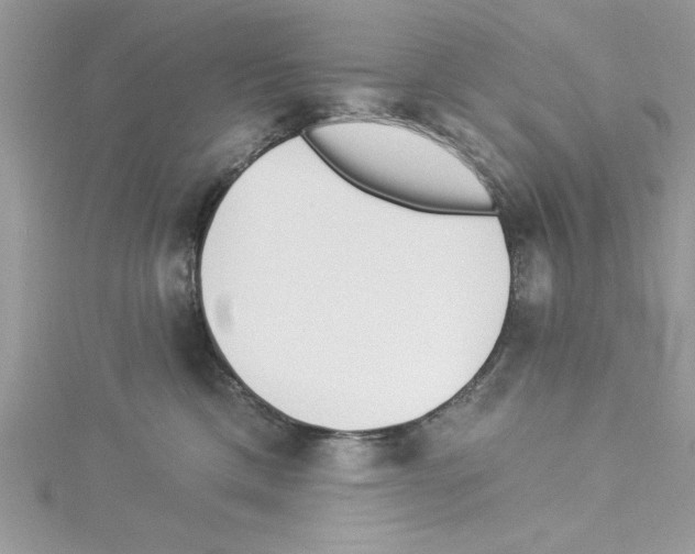 X0000114080425200911161020