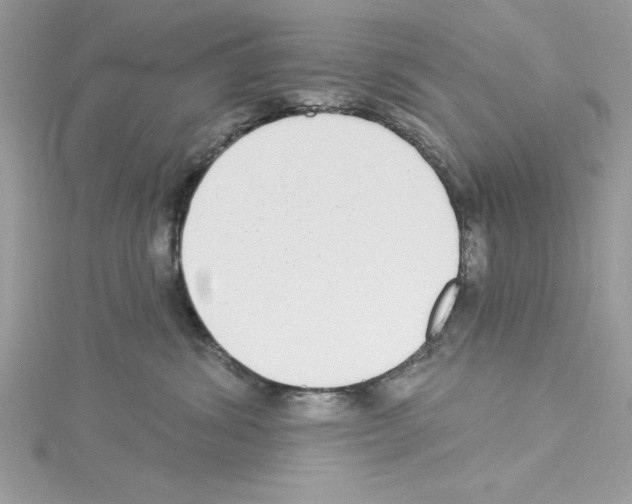 X0000114080428200911161020