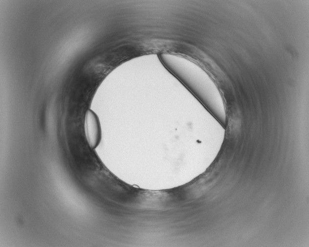 X0000114080429200911161020