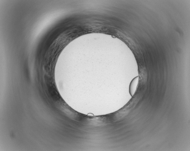 X0000114080430200911161020