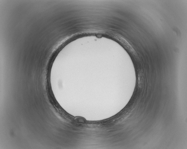 X0000114080436200911161019