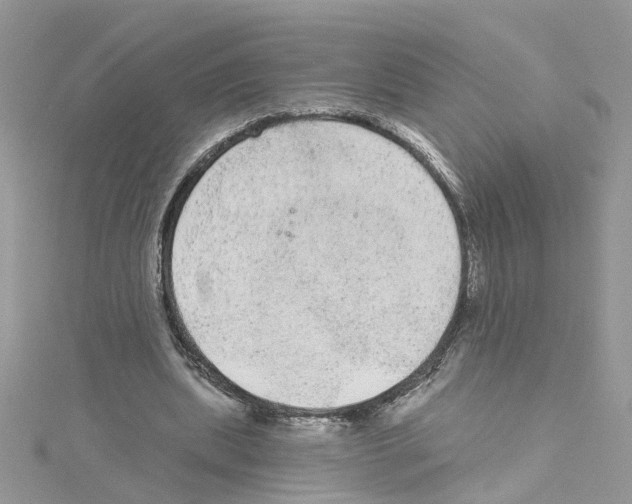 X0000114080439200911161019