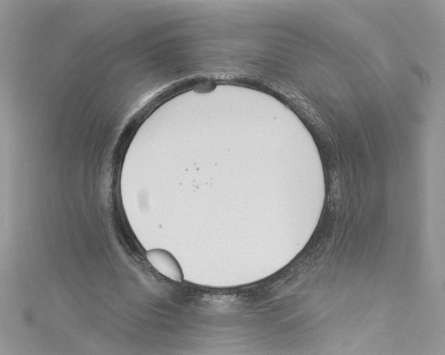 X0000114080440200911161019