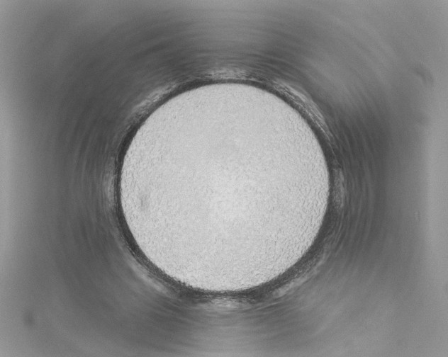 X0000114080441200911161019