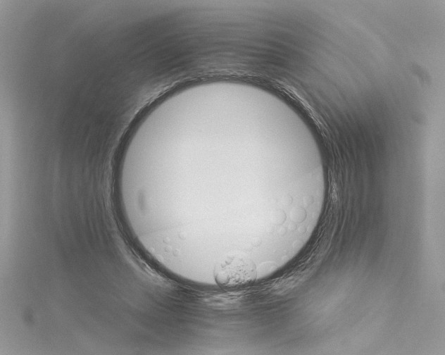 X0000114080447200911161019