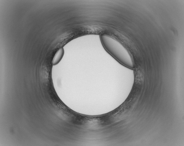 X0000114080456200911161019