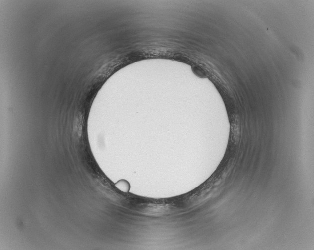 X0000114080458200911161019