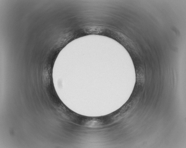 X0000114080460200911161019