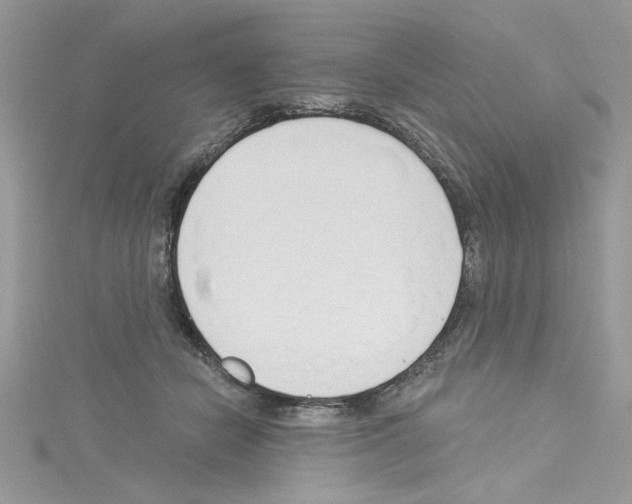 X0000114080462200911161019