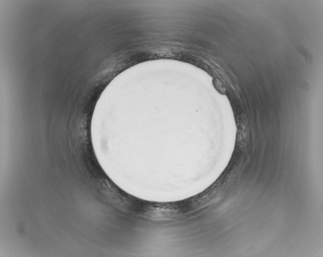 X0000114080466200911161019