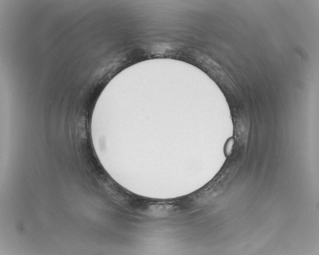 X0000114080470200911161019