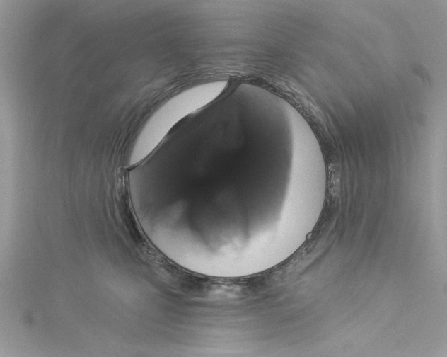 X0000114080471200911161019