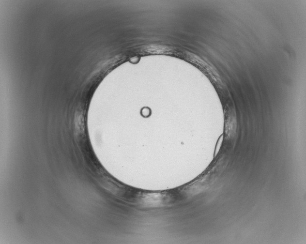 X0000114080473200911161019