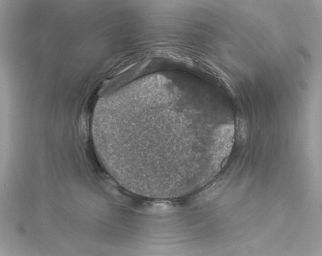 X0000114080475200911161020