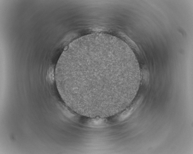 X0000114080479200911161020