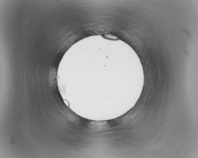 X0000114080480200911161020