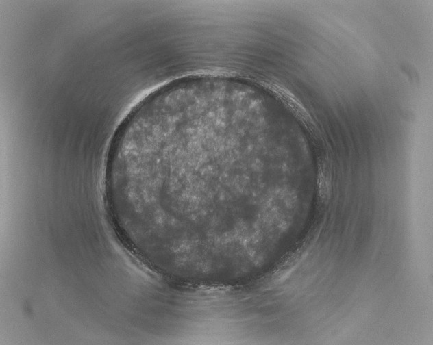 X0000114080484200911161019