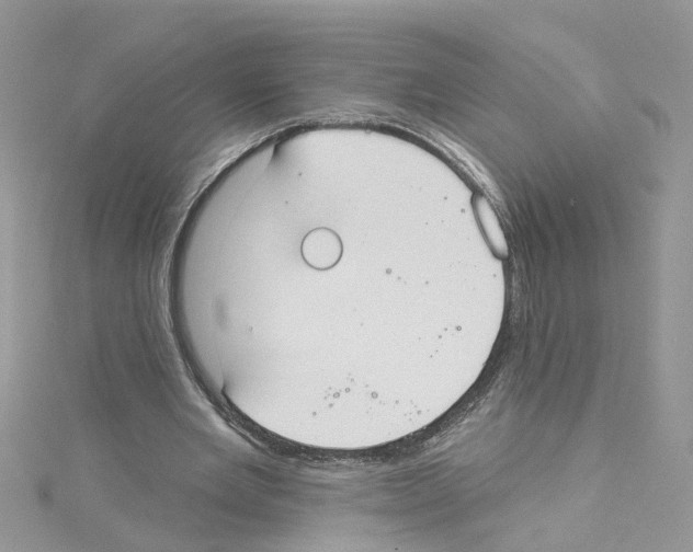 X0000114080485200911161019