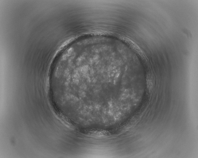 X0000114080488200911161019