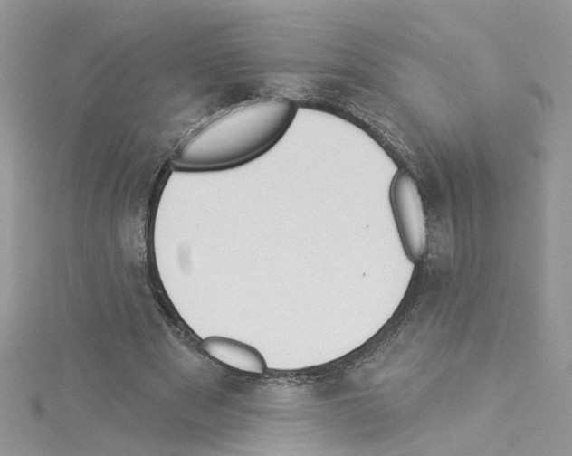 X0000114080489200911161019