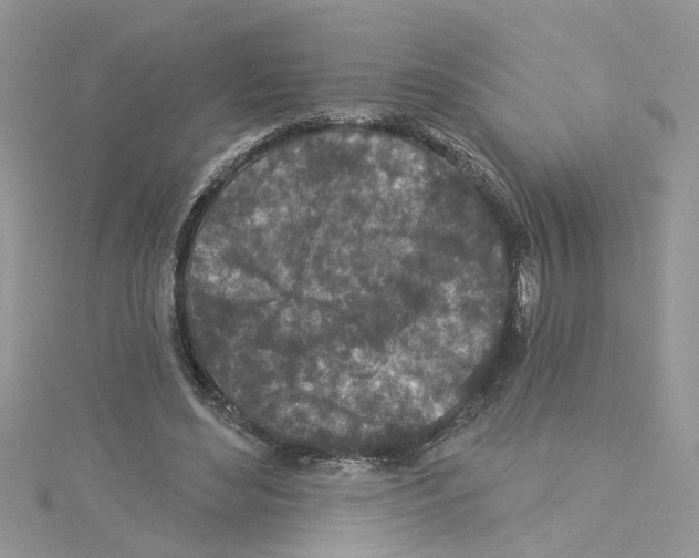 X0000114080492200911161019