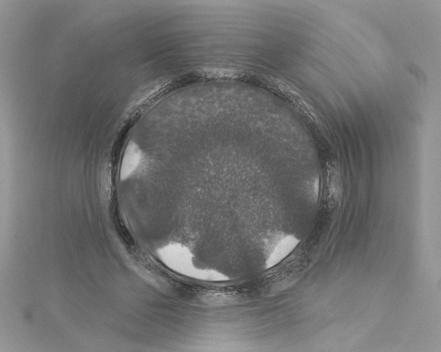 X0000114080494200911161019