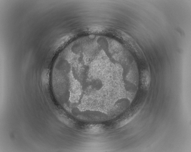 X0000114080495200911161019