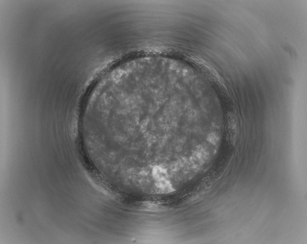 X0000114080496200911161019