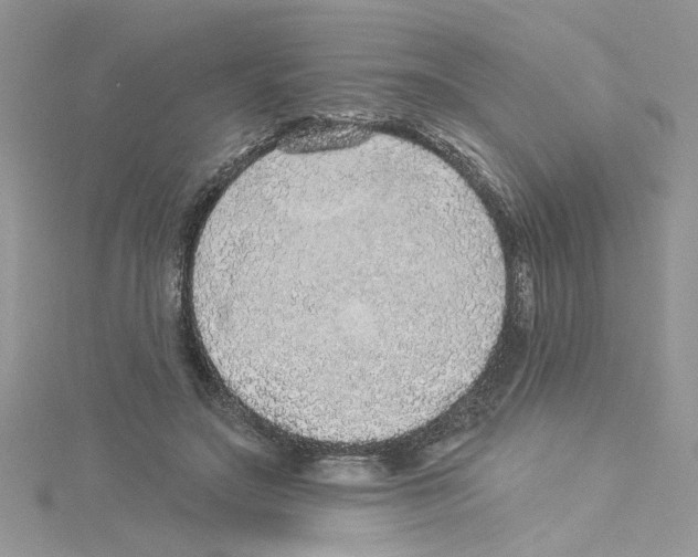 X0000114080499200911161019