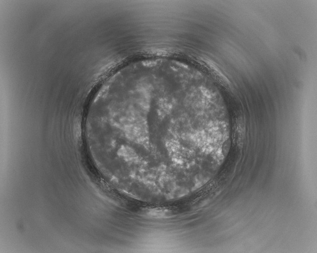 X0000114080500200911161019