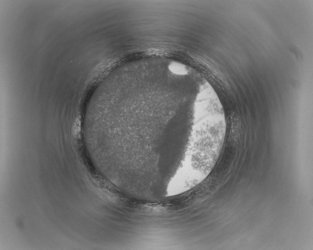 X0000114080502200911161019