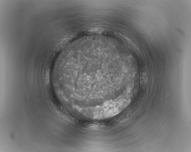 X0000114080504200911161019