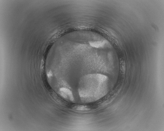 X0000114080507200911161018