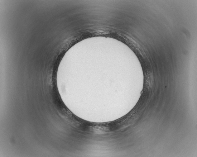 X0000114080512200911161018