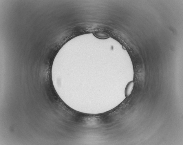 X0000114080513200911161018