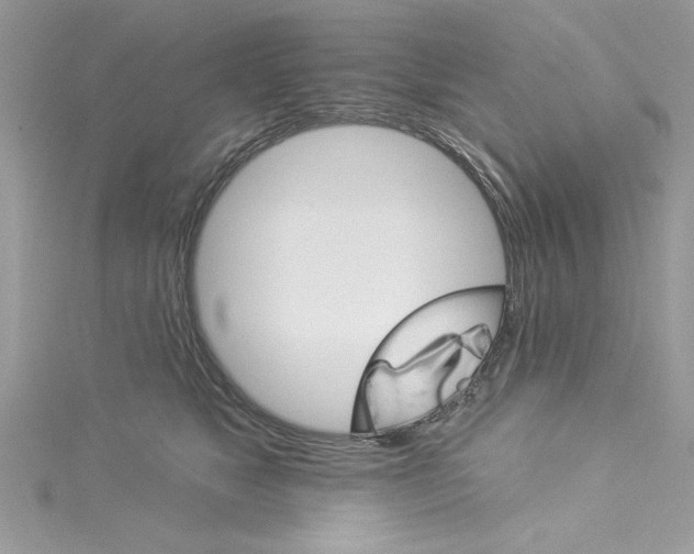 X0000114080517200911161018