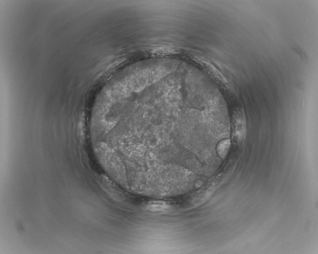 X0000114080519200911161018