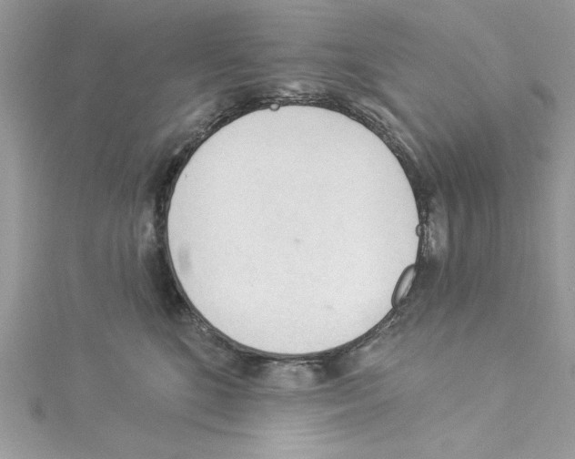 X0000114080520200911161018