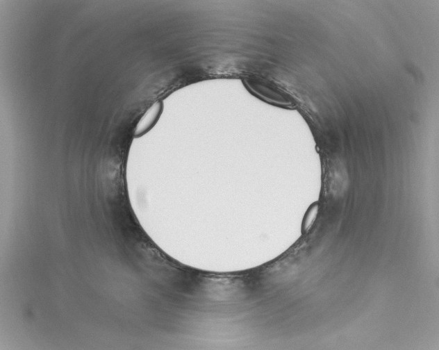 X0000114080521200911161018