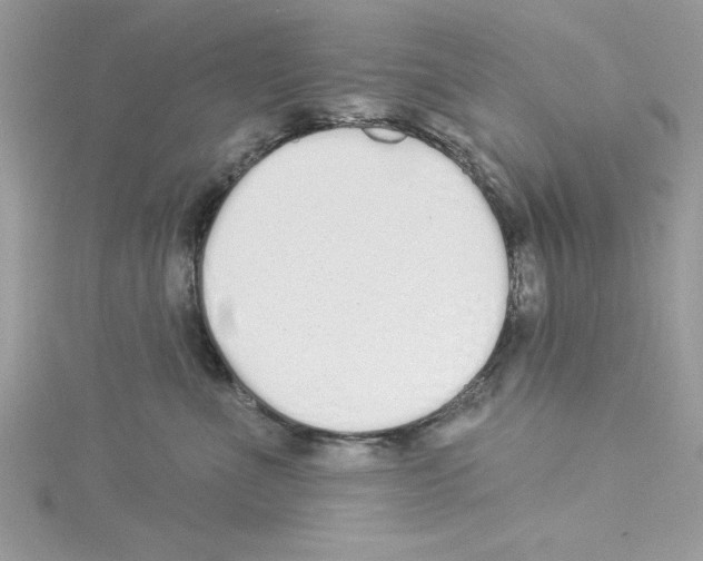 X0000114080523200911161018