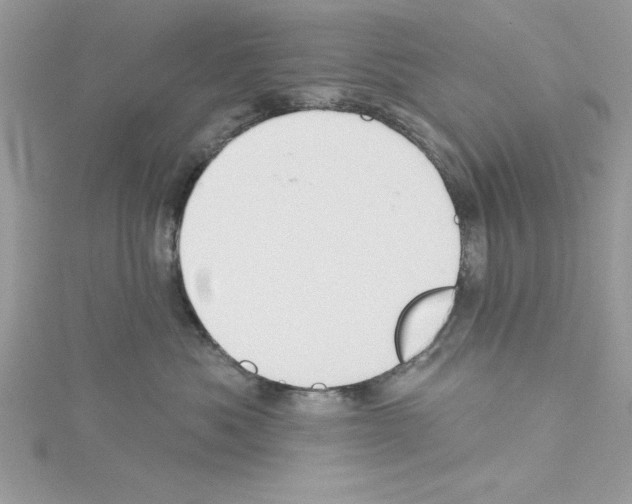 X0000114080525200911161018