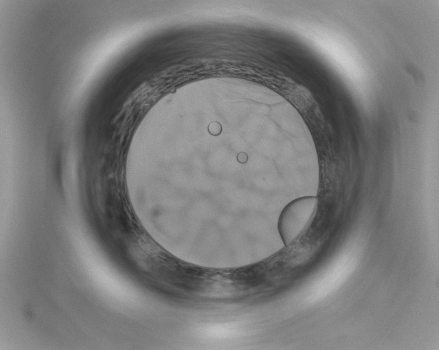 X0000114080526200911161018