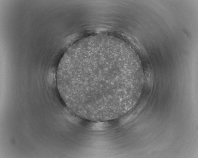 X0000114080527200911161018