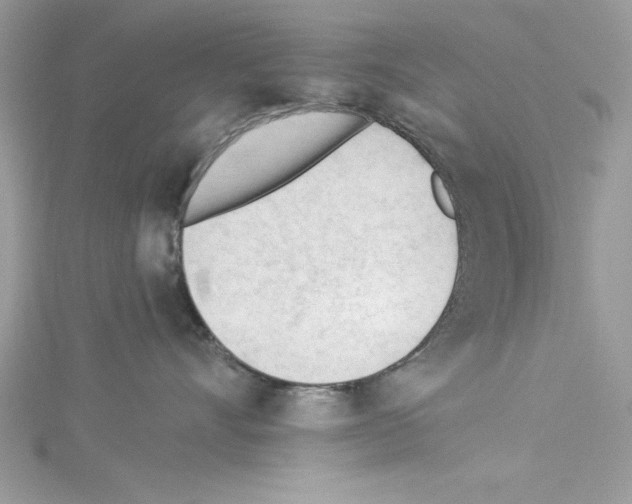 X0000114080528200911161018