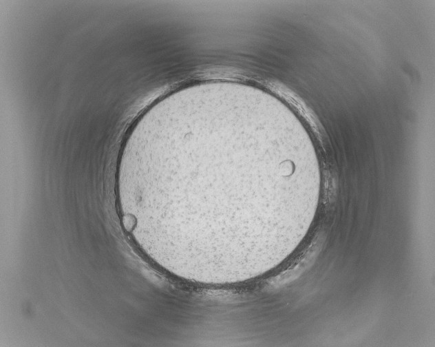 X0000114080529200911161018