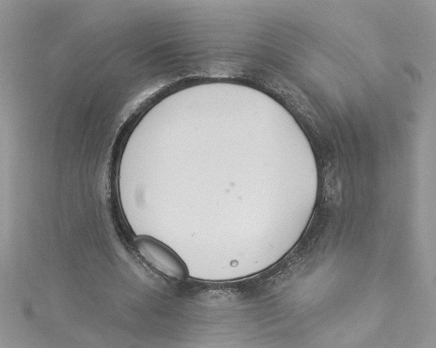 X0000114080536200911161018