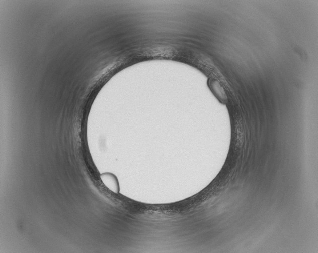 X0000114080538200911161018