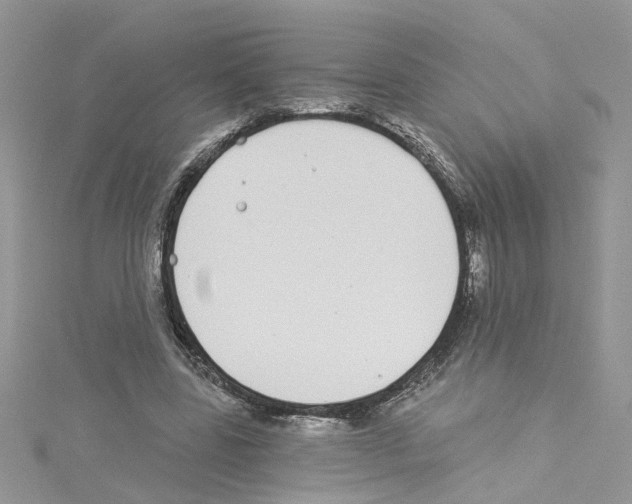 X0000114080539200911161018