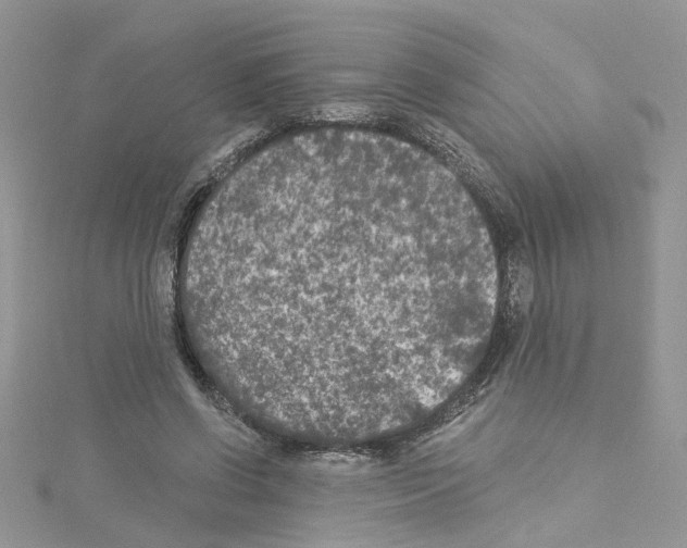 X0000114080542200911161018