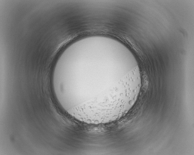 X0000114080543200911161018